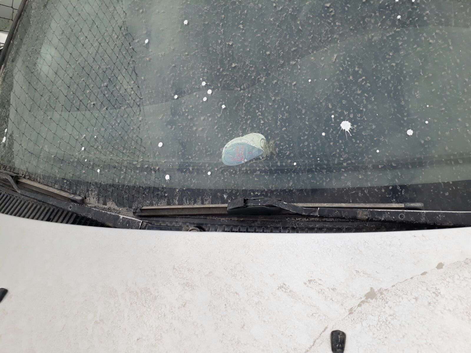 97 MODEL TOYOTA COROLLA ÇIKMA ÖN CAM OTO GÜVEN 'DE